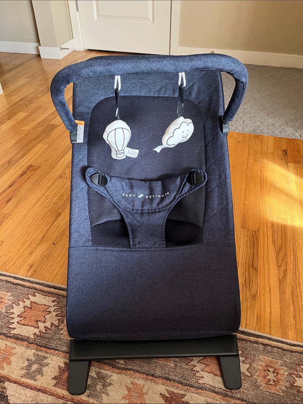 Baby Delight Alpine Deluxe Bouncer - WITH EXTRA COVER